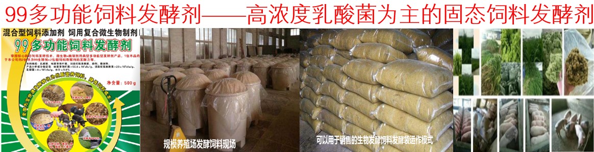 99多功能飼料發酵劑——高濃度乳酸菌為主的固態飼料發酵劑