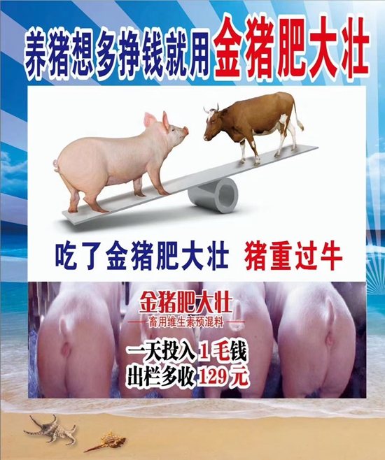 養豬想多掙錢就用金豬肥大壯--1天投入1毛錢，提前出欄13天，多長20斤，就是牛