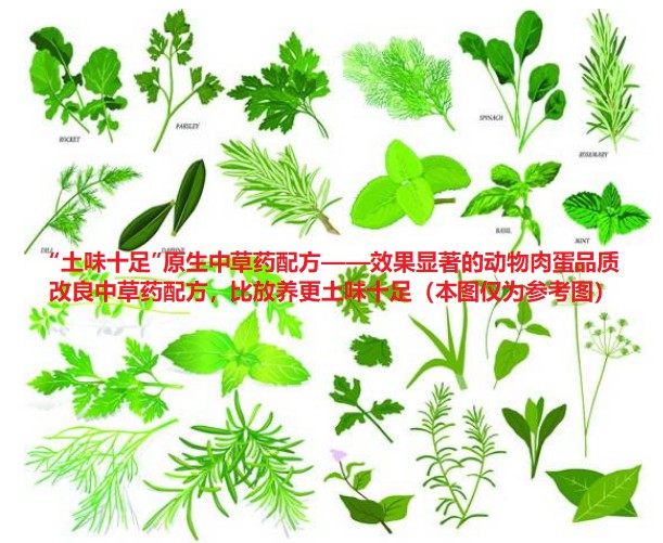 “土味十足”原生中草藥配方——效果顯著的動物肉蛋品質改良中草藥配方，比放養更土味十足