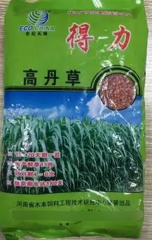 得力高丹草---“養魚青飼料之王”，具有產量高、葉量豐富、適應性廣、營養豐富、生長速度快、多次刈割、利用率高