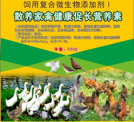 散養家禽健康促長營養素，散養土雞土鴨促長營養素，散養土蛋雞增產保健營養素