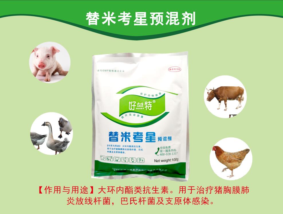 替米考星粉，呼吸道病更好的抗生素，主要防治家畜肺炎(由胸膜肺炎放線桿菌、巴氏桿菌、支原體等感染引起)、禽支原體病及泌乳動(dòng)物的乳腺炎。