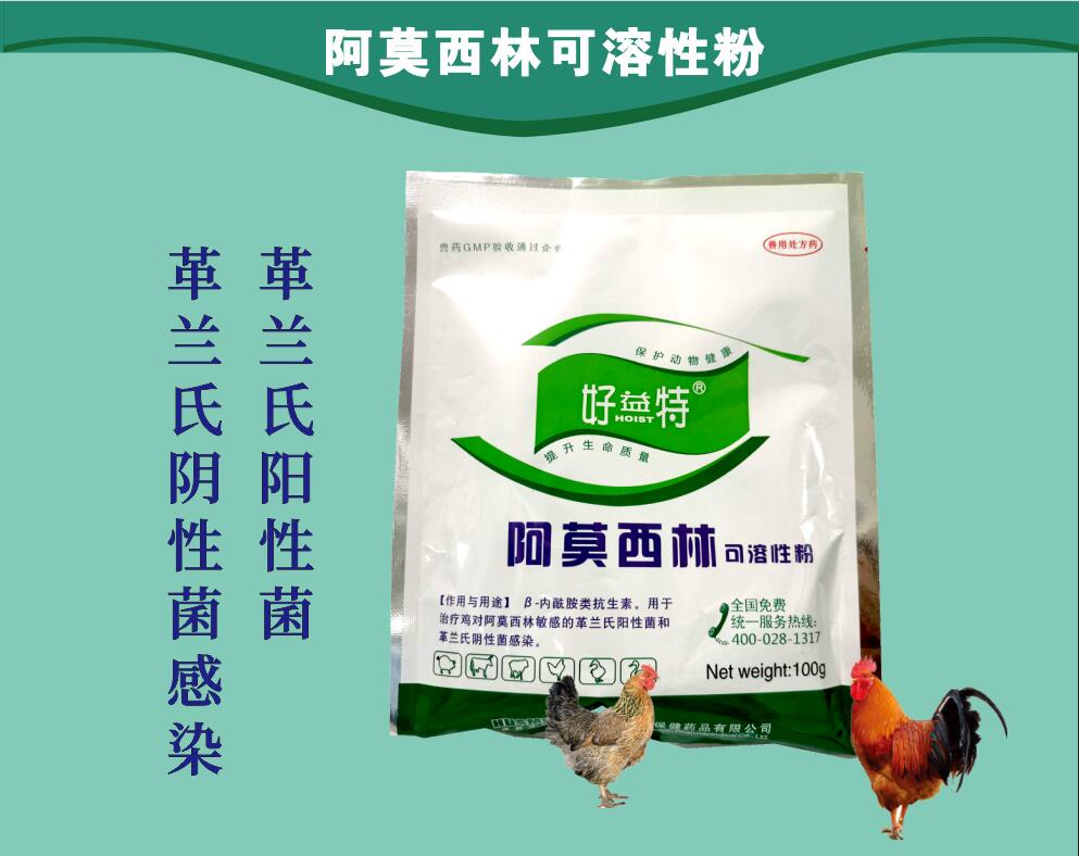 阿莫西林粉，治療動(dòng)物革蘭氏陽(yáng)性菌和革蘭氏陰性菌感染