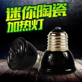 迷你陶瓷加熱燈爬蟲鬃獅夜燈保溫燈陸龜箱蜥蜴飼養箱爬寵箱加熱器