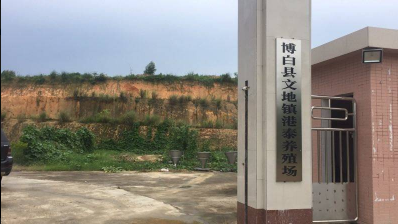 博白鄉鎮生態培訓指導2.png