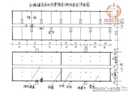 全漏縫高床水泡糞豬舍（鋼構屋頂）平面圖
