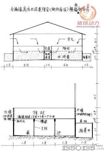 全漏縫高床水泡糞豬舍（鋼構屋頂）橫截面剖析圖