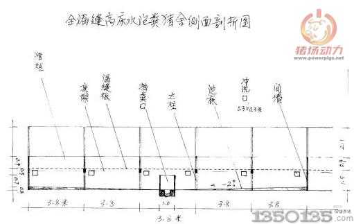 全漏縫高床水泡糞豬舍側面剖析圖