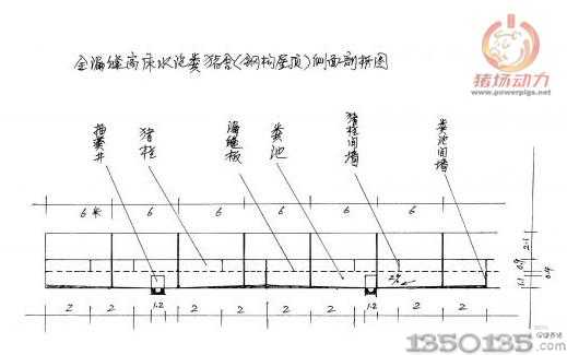 全漏縫高床水泡糞豬舍（鋼構層頂）側面剖析圖