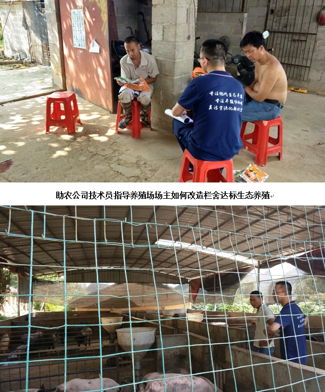 龍州2018年生態(tài)養(yǎng)殖培訓3.jpg