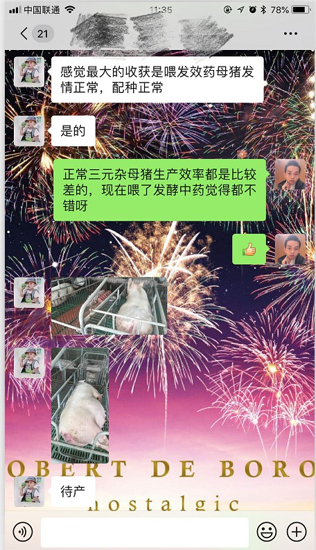 李老板對發酵中草藥效果很滿意.jpg