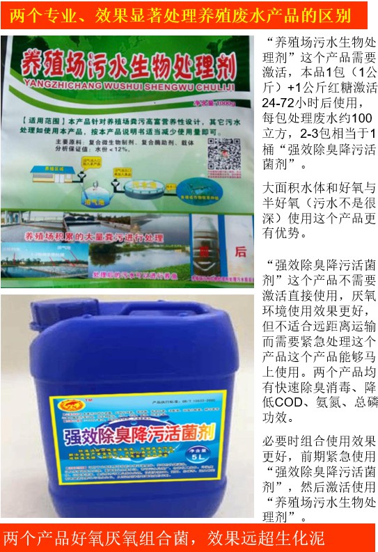 養殖場污水生物處理劑與強效除臭降污活菌劑對比.jpg