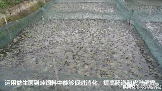 QQ截圖20220221113543.jpg