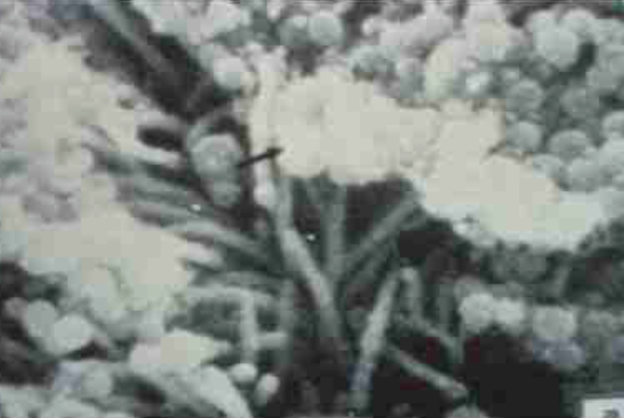 1667958331129715.png image.png