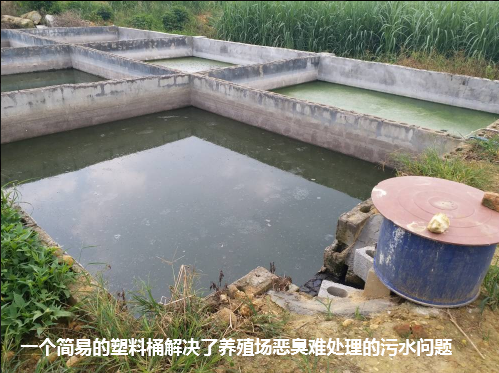 武鳴區(qū)生態(tài)養(yǎng)殖場效果驗證1.png