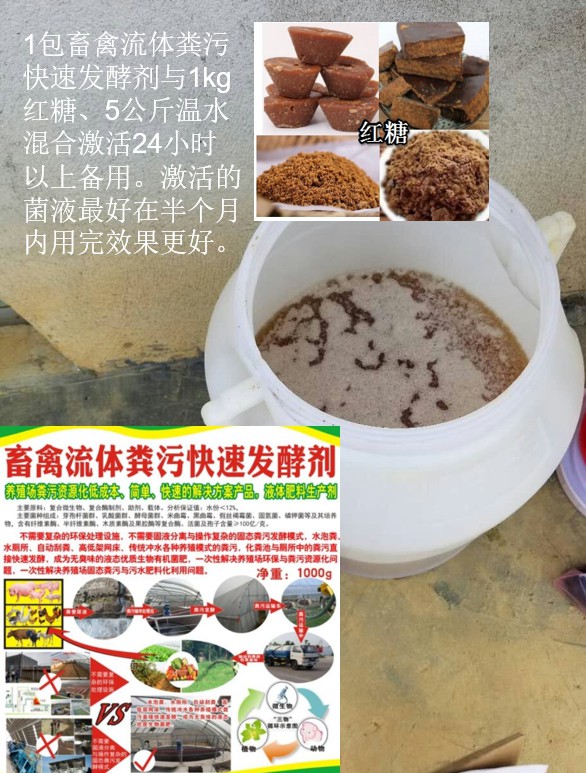 畜禽流體糞污快速發(fā)酵劑菌種激活.jpg