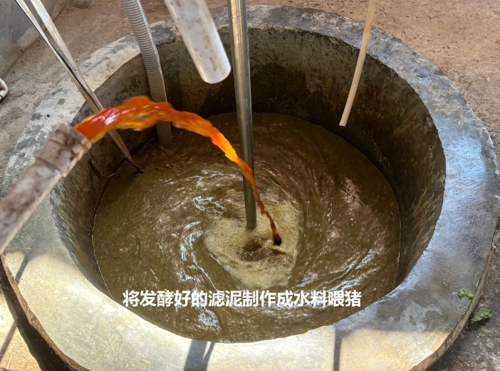 糖蔗濾泥（發酵好喂豬）.png