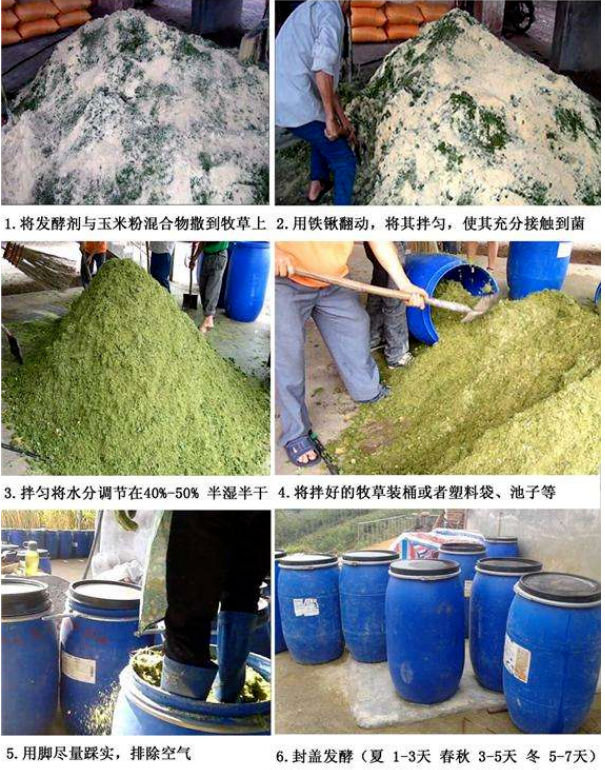 發酵牧草（發酵方法）.png
