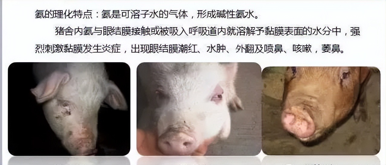 微信圖片_20250226101906.jpg