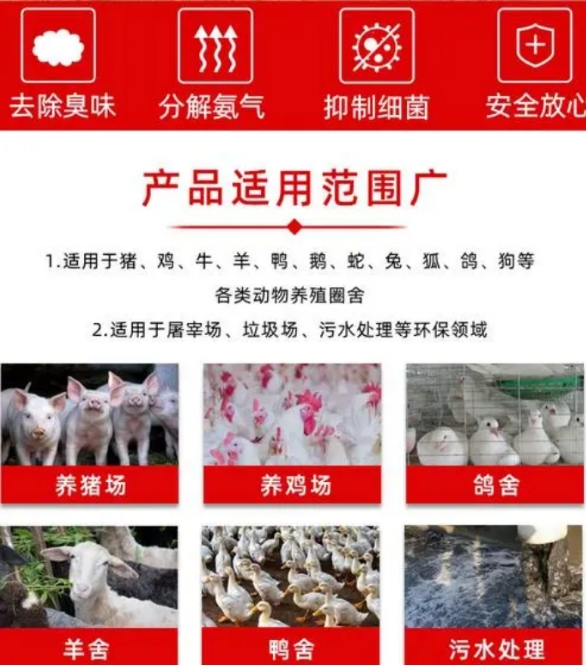 微信截圖_20250226101859.jpg