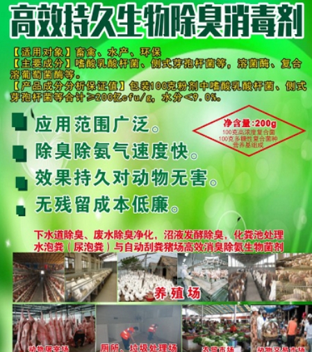 微信截圖_20250226102853.jpg