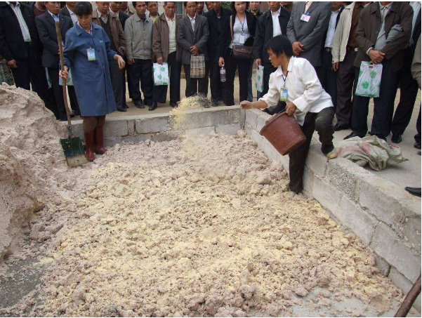 發酵木薯渣（實操）.png