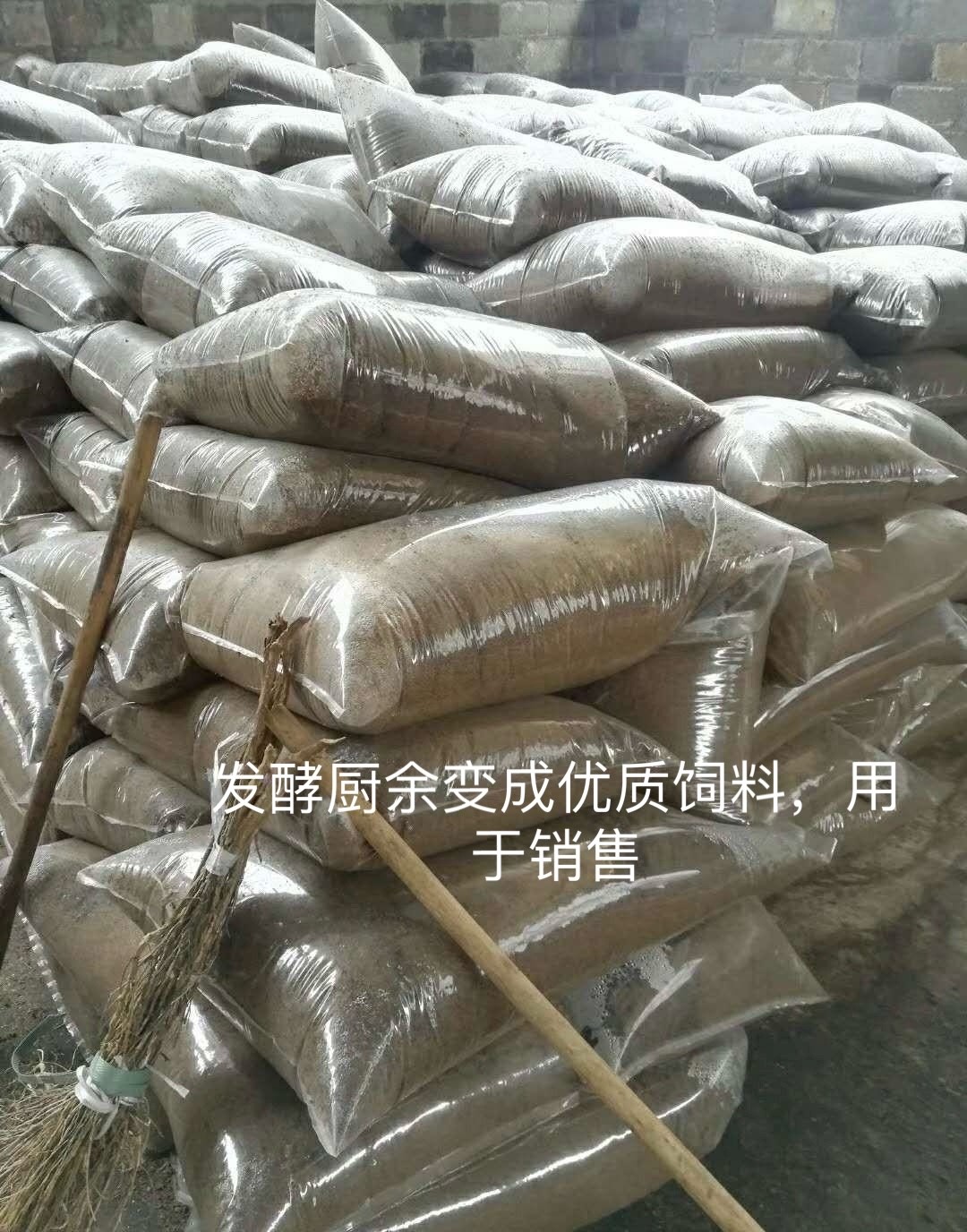 微信圖片_20250304112755.jpg