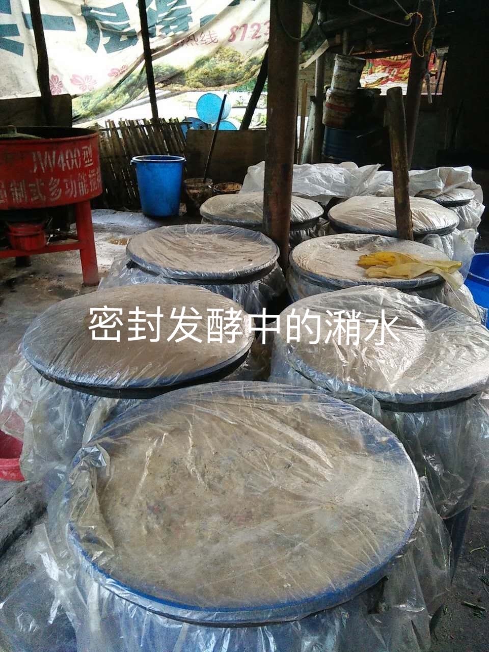 微信圖片_20250305112145.jpg