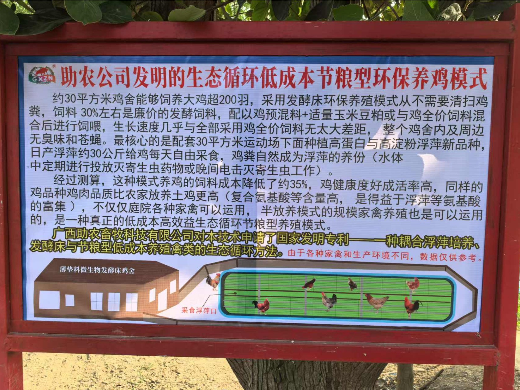 一種耦合浮萍培養、發酵床與節糧型低成本養殖禽類的生態循環方法.jpg