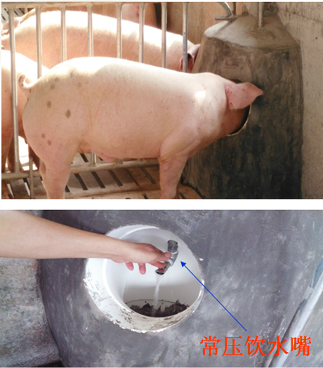 嵌墻式飲水器1.png