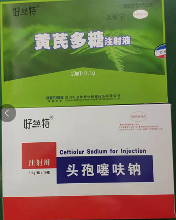 黃芪多糖+頭孢（高熱）.png