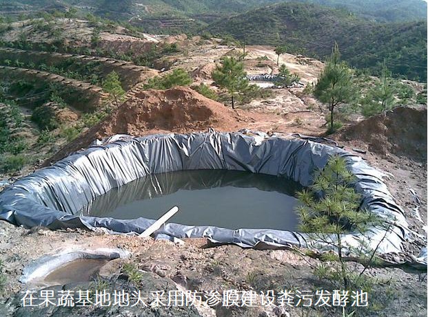 在果蔬基地地頭采用防滲膜建設糞污發(fā)酵池.jpg